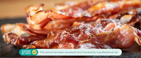 Can cats top have bacon
